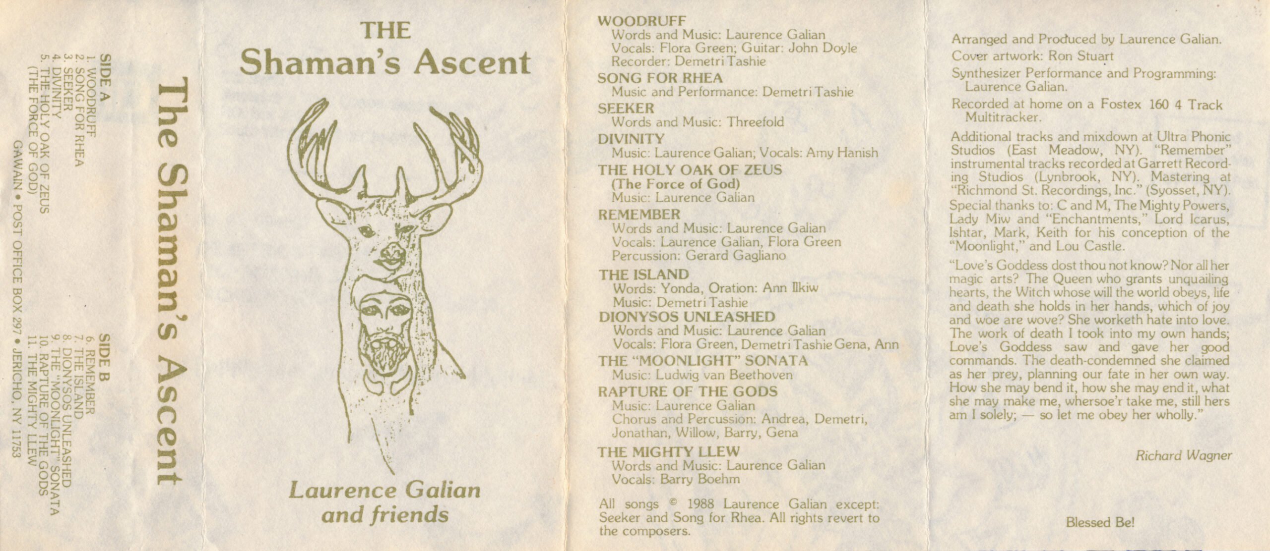 The Shaman's Ascent - Laurence Gallian The Shaman's Ascent - Laurence Gallian